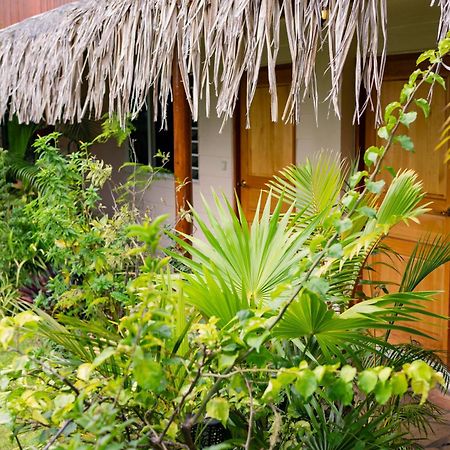 Manaeva Lodge Faaa Ngoại thất bức ảnh